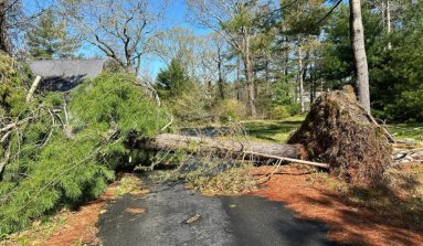 130 Forest Avenue foreclosure property image