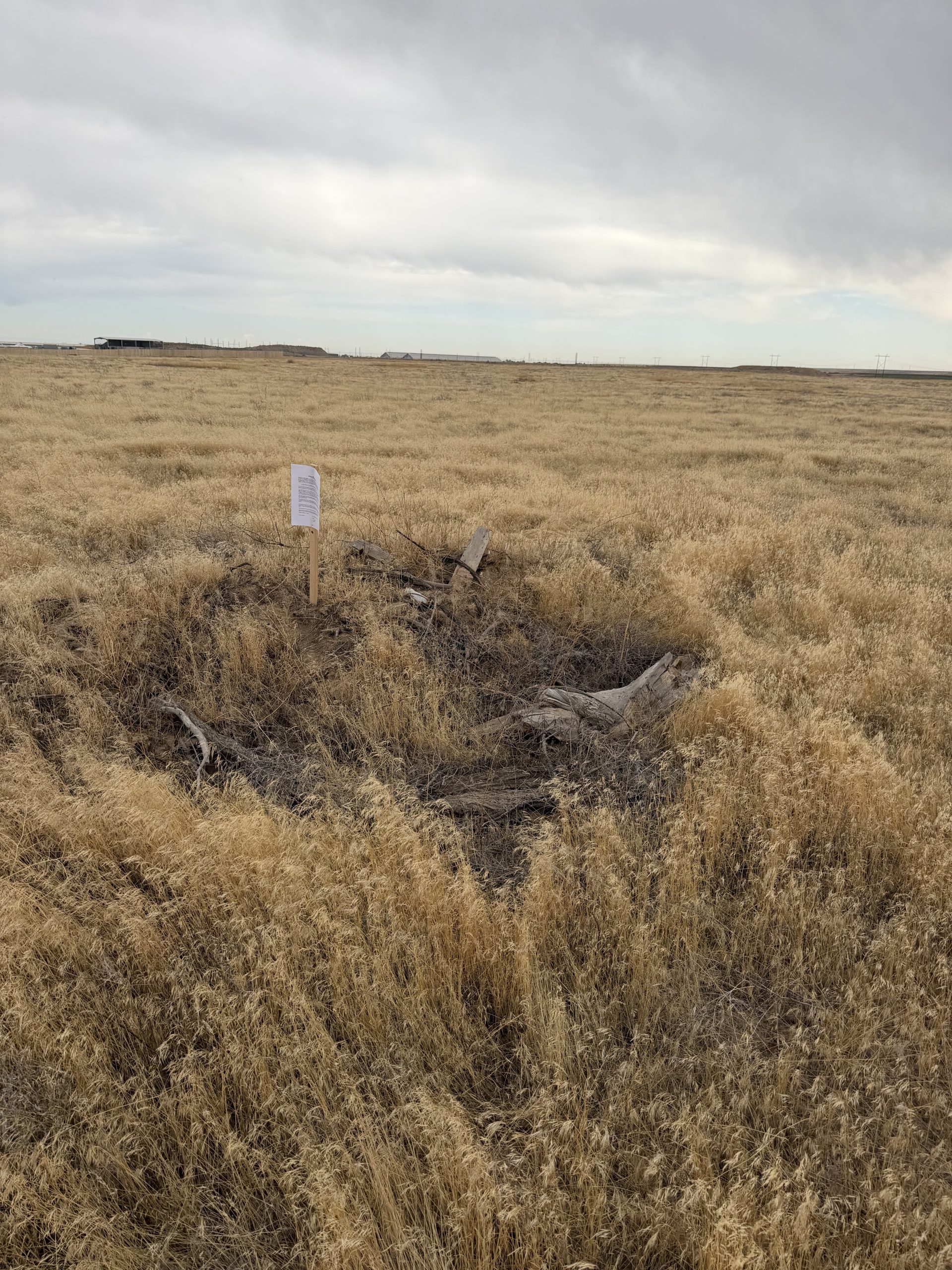 TBD Bare Land foreclosure property image